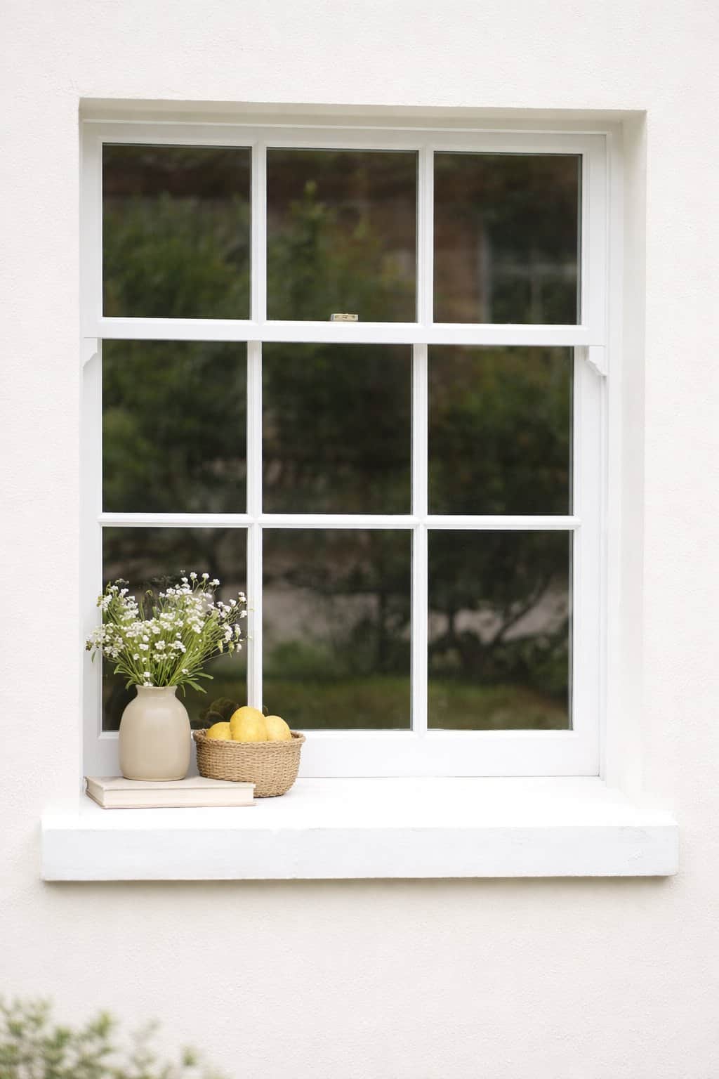 Sash Windows